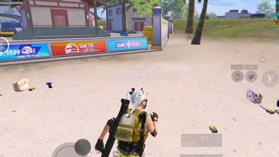 和平精英辅助【火焰鸟直装V6.0终极修复版】射线透视 准星聚点 空投透视 人物变大 显示手持 透视雷达